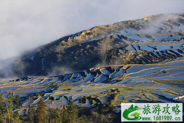 云南元阳梯田最佳旅游时间