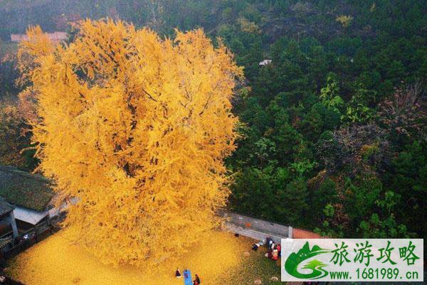 西安古观音禅寺预约几点刷新 迟到可以进去吗