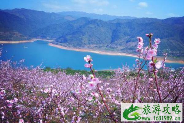 舟山桃花岛桃花什么时候开2022 舟山桃花岛几月份去最好