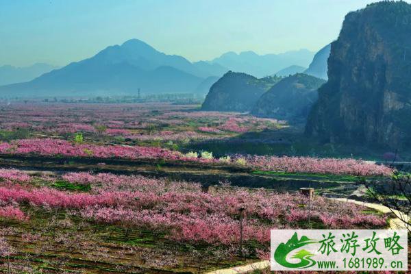 2021年平谷桃花节是几月几日-赏花路线推荐