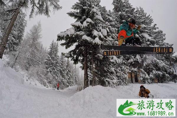 双板滑雪技术详解