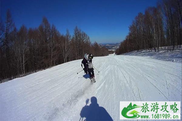 双板滑雪技术详解