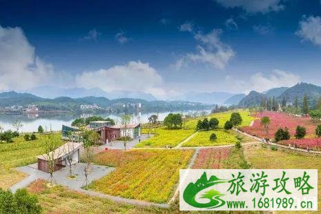 2022杭州建德黄饶半岛油菜花花期及路线推荐