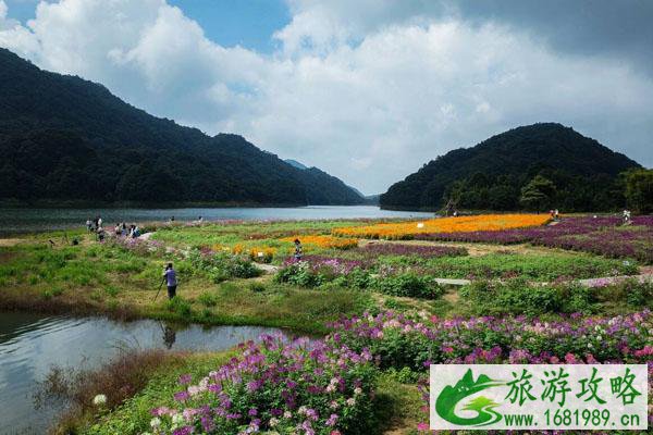 东莞周边春游去哪里 踏青赏花好去处