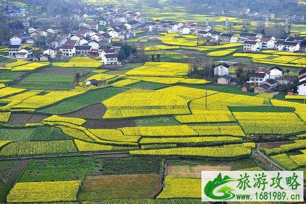 2022汉中油菜花最佳时间