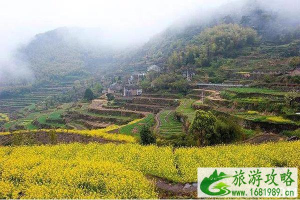 上虞油菜花梯田在哪里 附赏花线路