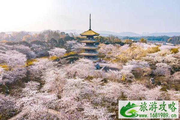 2022武汉东湖磨山赏花限行规则(附交通指南)