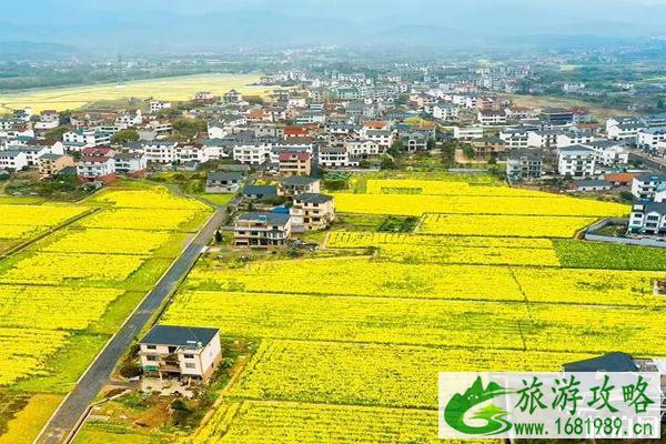 浙江油菜花最美的地方 浙江油菜花景点介绍