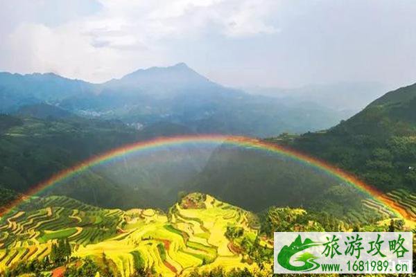 浙江油菜花最美的地方 浙江油菜花景点介绍