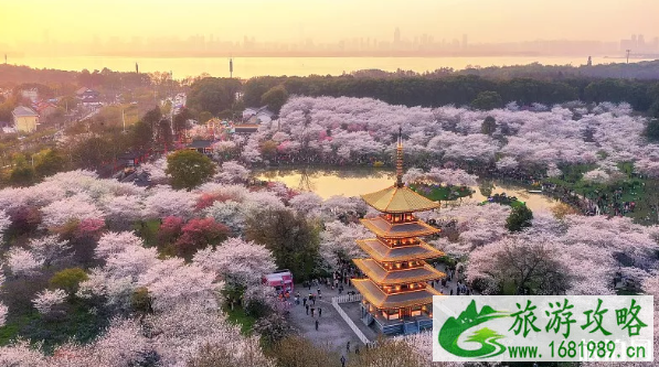 武汉赏樱花地点 武汉有哪些美食小吃