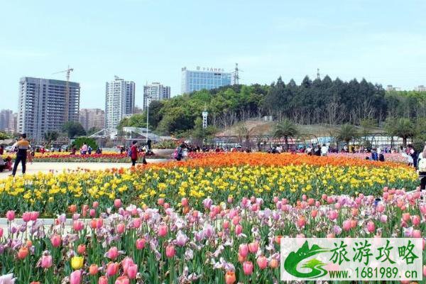 2022湖南植物园樱花什么时候开 湖南植物园适合几月份去