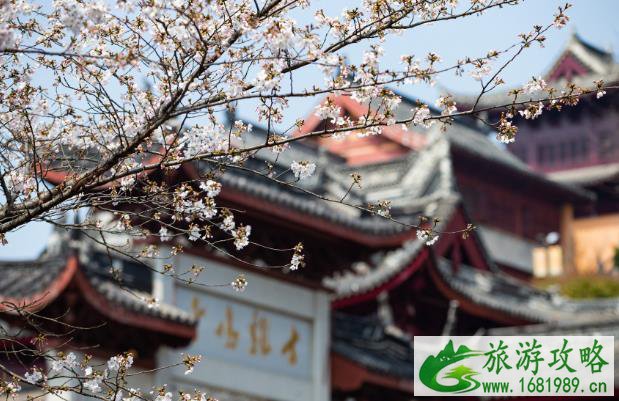 2022年鸡鸣寺樱花最佳观赏时间 鸡鸣寺樱花需要预约门票吗