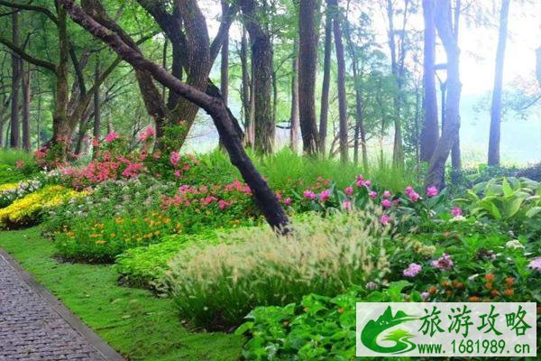 2022杭州花圃什么时候去最好 杭州花圃樱花什么时候开