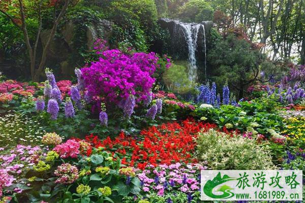 2022杭州花圃什么时候去最好 杭州花圃樱花什么时候开