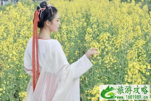 梁子湖油菜花在哪?最佳观赏时间是什么时候?