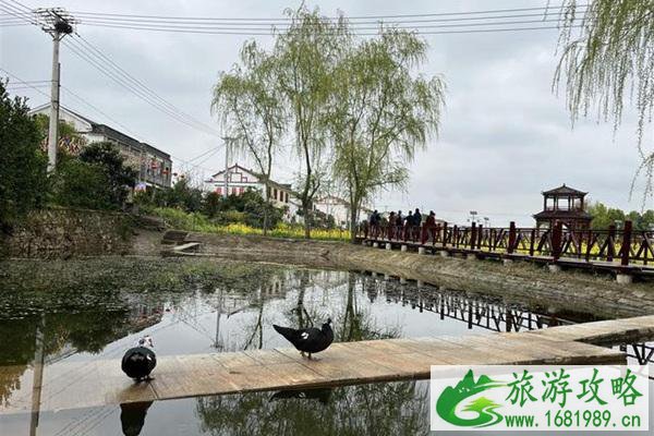 梁子湖油菜花在哪?最佳观赏时间是什么时候?