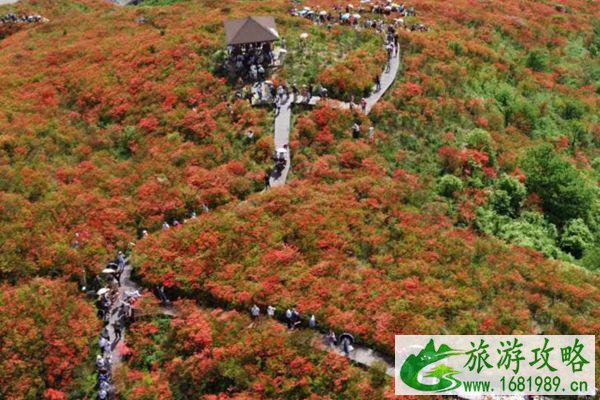 长沙樱花谷风景区在哪里