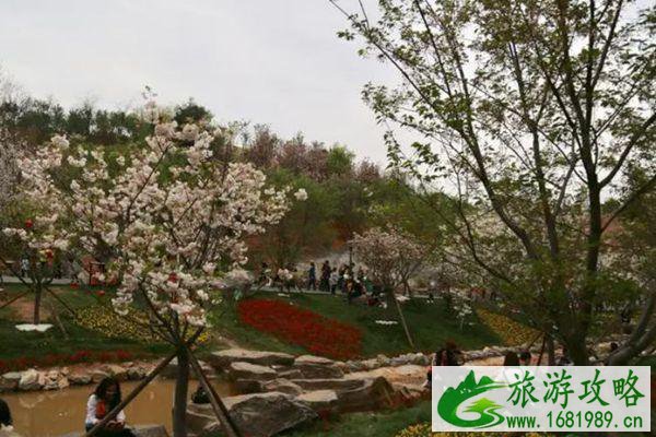 长沙樱花谷风景区在哪里