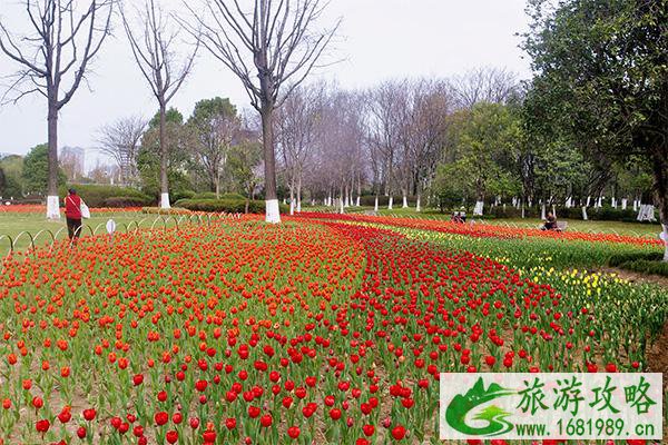 宁波看花的地方有哪些2022