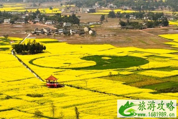 潼南油菜花景区在哪里?怎么去?