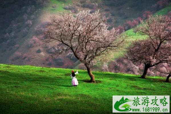 春季旅游最佳去处国内