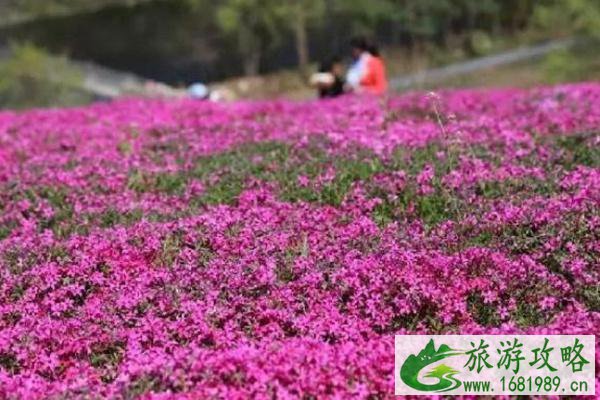 昆嵛山五大景区哪个最好