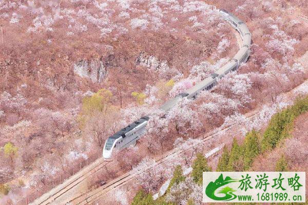 北京开往春天的列车在哪儿上车 最佳拍摄地点推荐