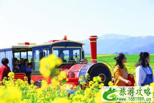 2022罗平油菜花最佳旅游时间