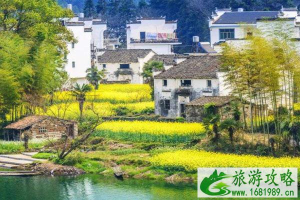 2022婺源油菜花哪里最好看 最佳观赏时间