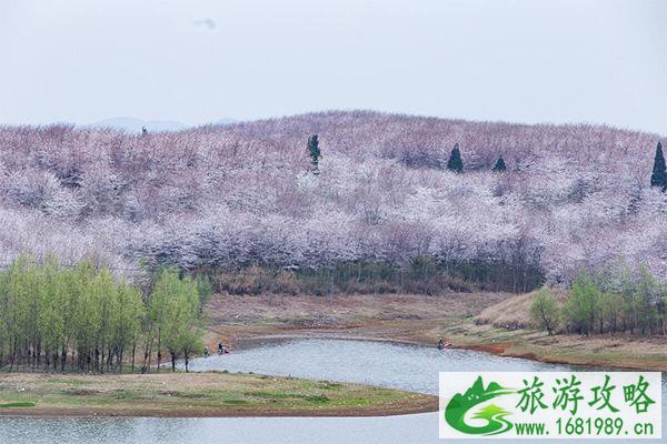 2022贵阳春季赏花踏青的地方有哪些