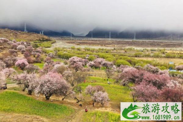 国内赏桃花最出名的地方 中国5大赏桃花胜地