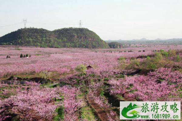 平谷桃花节是几月几日2022