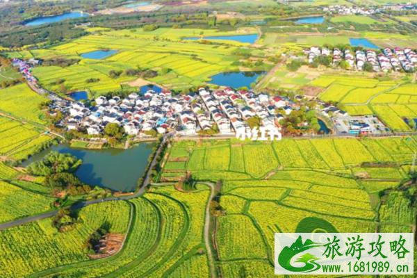 2022南京高淳油菜花几月份开 最佳观赏地