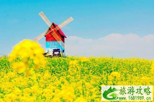 2022重庆秀山油菜花什么时候开 附油菜花观赏攻略