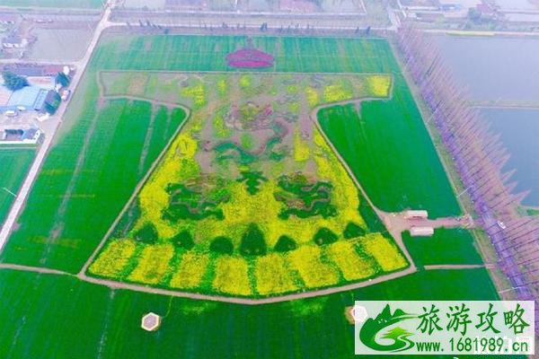 2022南京六合龙袍镇油菜花在哪里?什么时候开花?