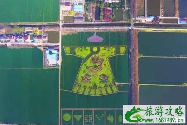 2022南京六合龙袍镇油菜花在哪里?什么时候开花?