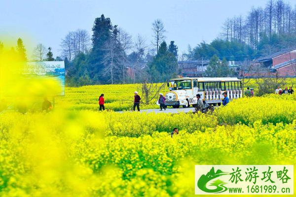 南京汤山油菜花在哪 汤山旅游景点推荐