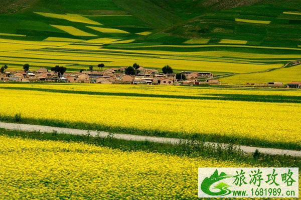 南京汤山油菜花在哪 汤山旅游景点推荐