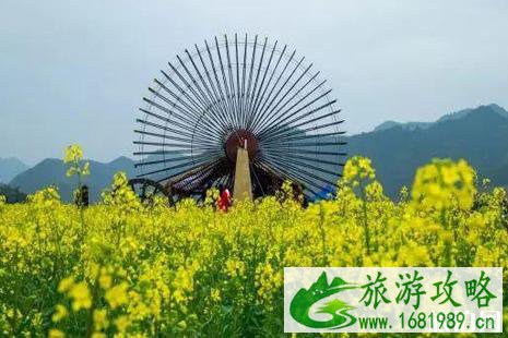 2022开化油菜花观赏路线推荐