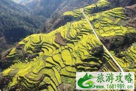 2022开化油菜花观赏路线推荐