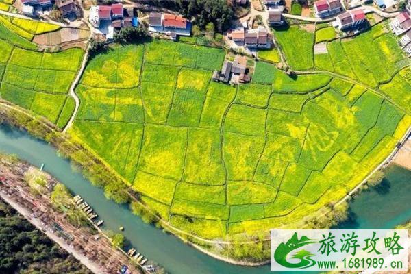 2022汉中油菜花节主会场在哪?什么时候开?