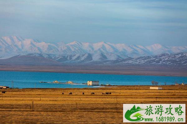 1月26日起青海湖、茶卡盐湖景区陆续恢复开放