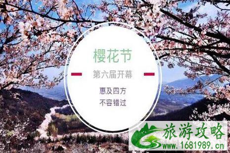 2022山东樱花山风景区樱花节活动攻略