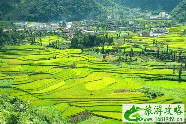 2022受疫情影响广南县A级景区暂停对外开放汇总 2022受疫情影响广南县A级景区暂停对外开放汇总