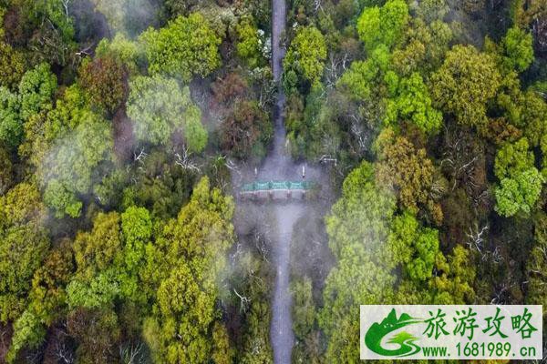 南京钟山风景区门票价格及开放时间一览