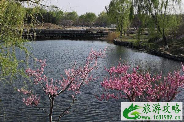 北京圆明园踏青节时间门票及交通介绍