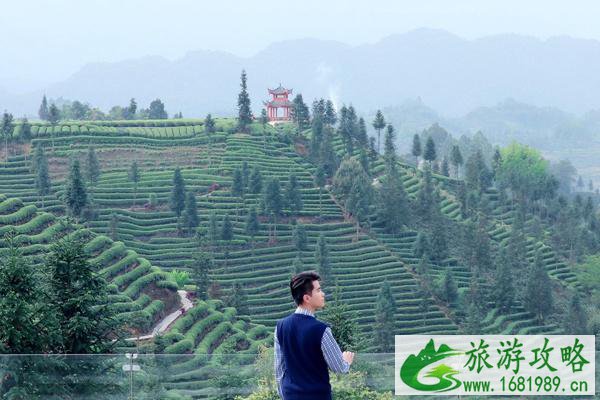 雅安蒙顶山新年虎福免门票活动详解