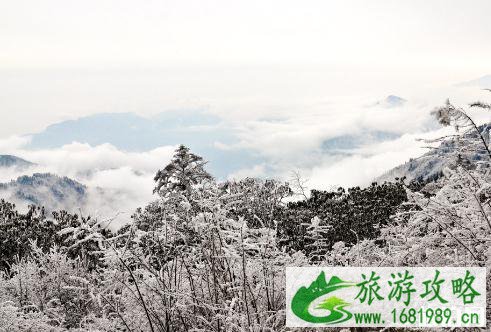 西岭雪山夏天去好玩吗