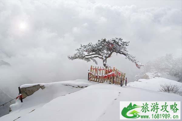 冬天应该去哪些地方看雪景