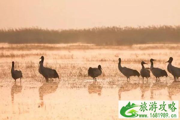 冬天去哪旅游合适 国内这些小众地方天气暖和还有花看